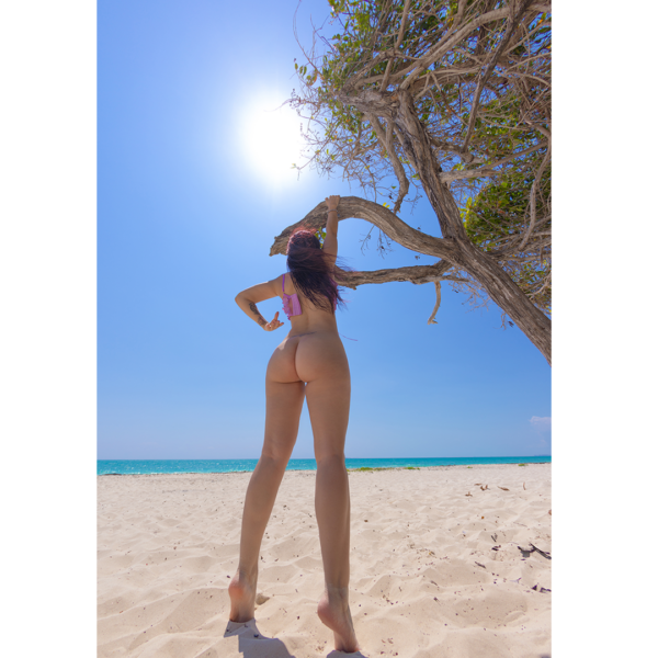 Diana Desirée 🇲🇽 - Image 4
